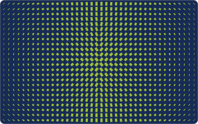 ÷ ī̹