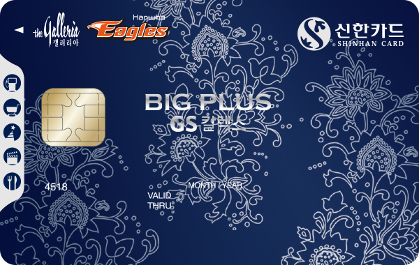 갤러리아-한화이글스 GS칼텍스 신한카드 BigPlus