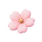 신한카드 일본 여행