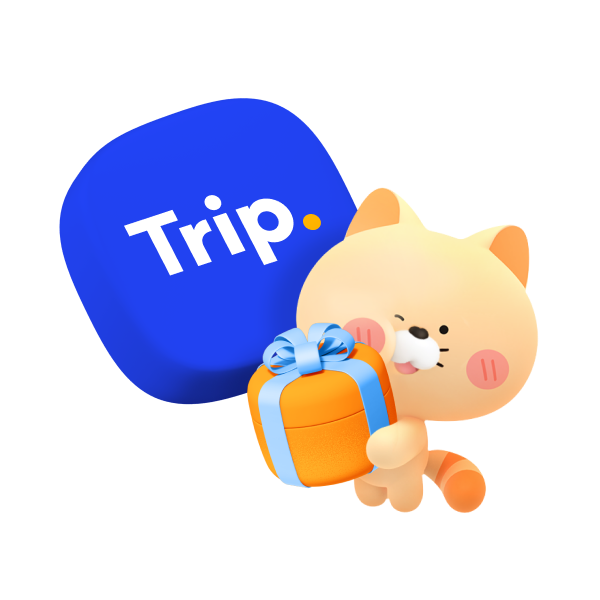 Trip, 선물박스 들고있는 노란고양이