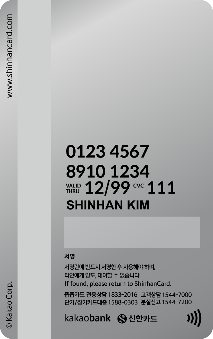신한카드 카카오뱅크 줍줍 메탈라이언 뒷면