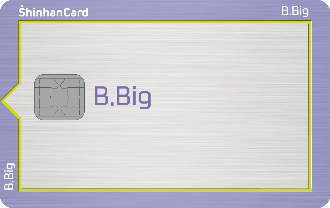신한카드 B.Big(삑) 
