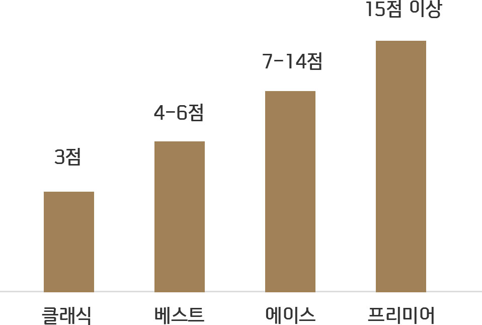 각 그룹사의 Tops Club 등급은 점수 합산 시 프리미어 15점 이상, 에이스 7-14점, 베스트 4-6점, 클래식 3점 대한 이미지