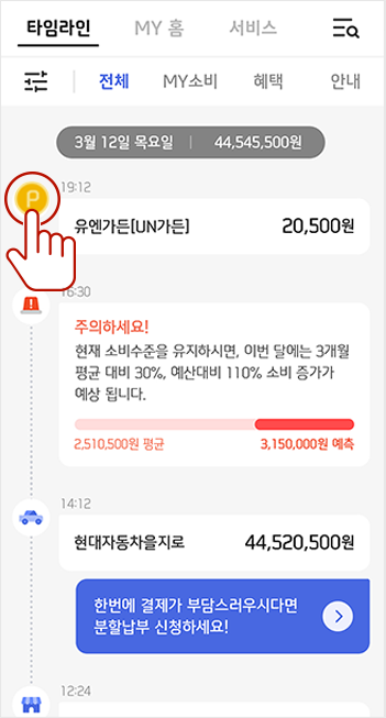 신한페이판 타임라인 포인트 아이콘 선택