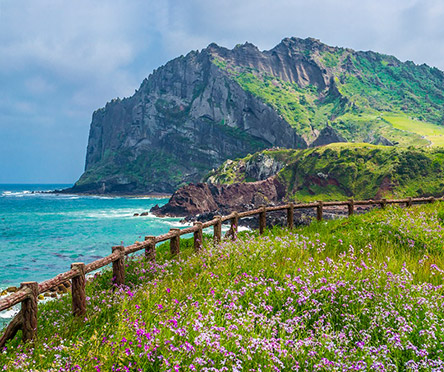 제주도