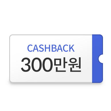 300만원