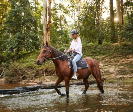 포토 스폿 투어