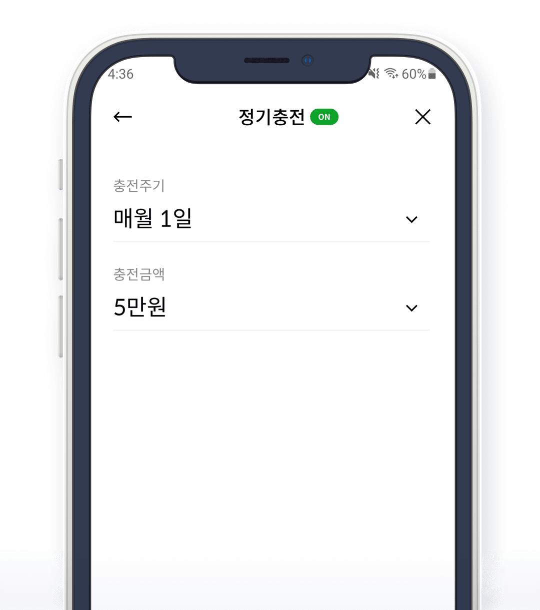 Tip 정기충전